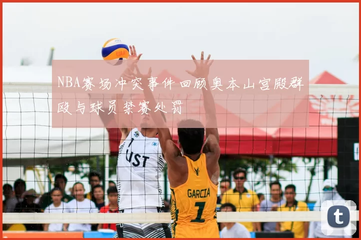 NBA赛场冲突事件回顾奥本山宫殿群殴与球员禁赛处罚